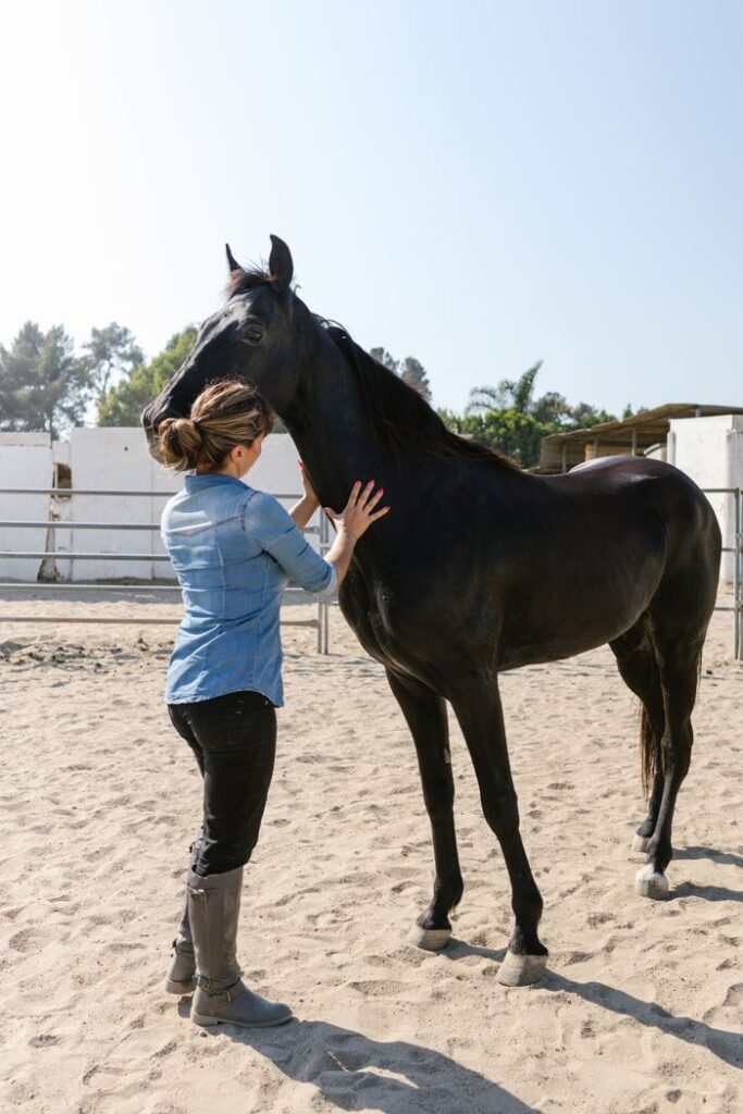 A woman gently caresses a black horse on a sunny ranch day, illustrating animal connection and care.